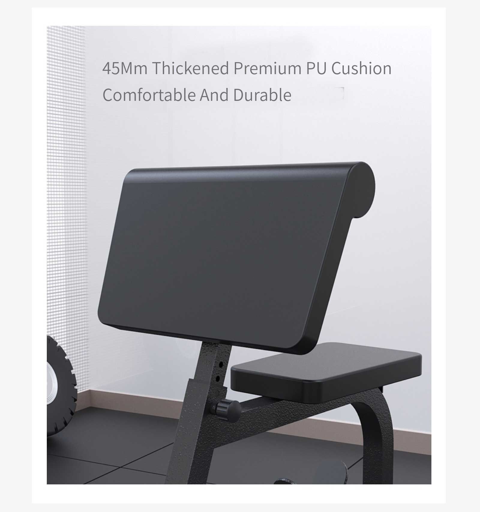 Multifunktionellt bicepsutbildningsställ