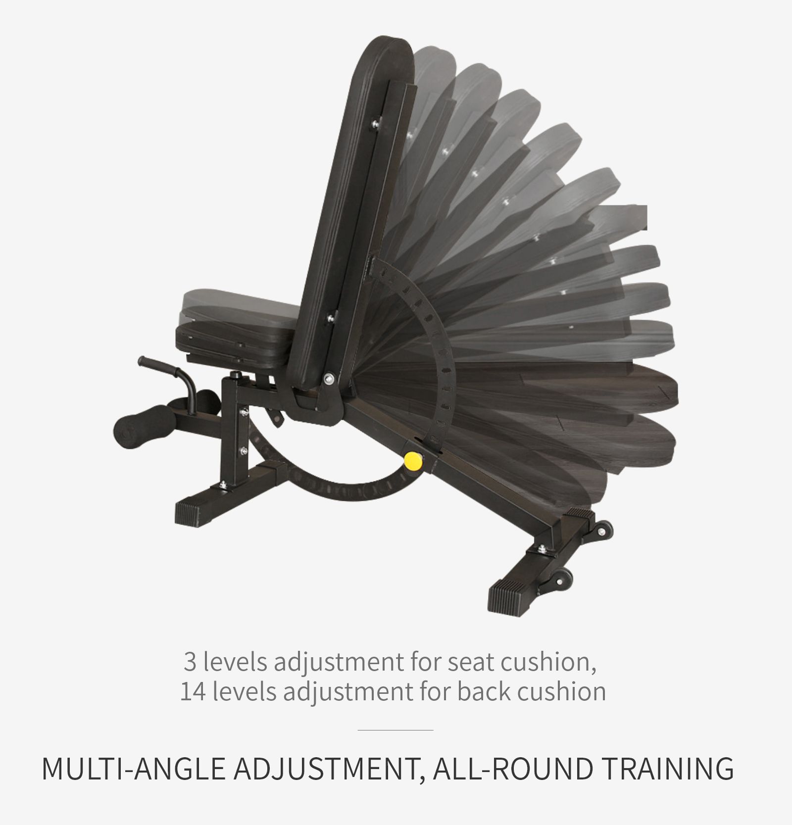 Multifunktionell hantelbänk Multifunktionell hantelbänk