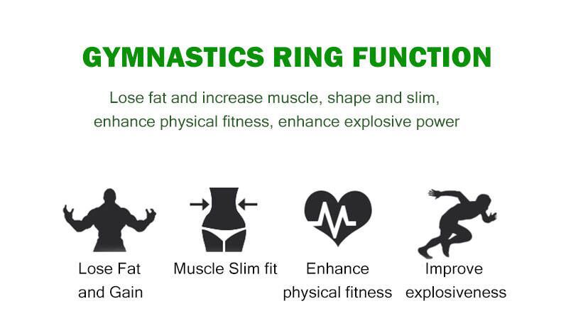 Birch Fitness Rings Gym Rings Birch Fitness Rings Gym Rings
