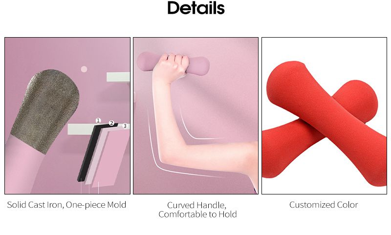 PVC -belagd färggjutjärn benform hantel för damer PVC -belagd färggjutjärn benform hantel för damer