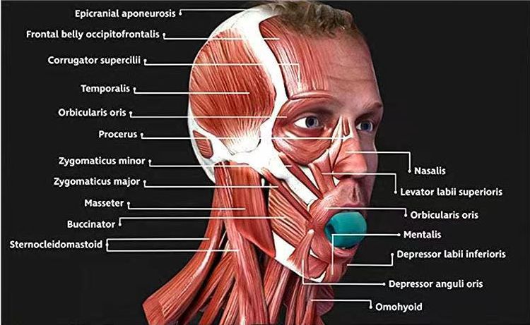 Förbättra lycka Index-JewLine Trainer Manufacturer-Come och välj oss
