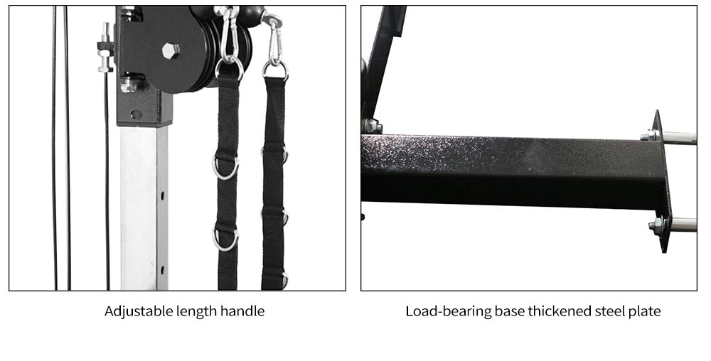 Multifunktionell väggflygande fågel omfattande träningsenhet Multifunktionell väggflygande fågel omfattande träningsenhet