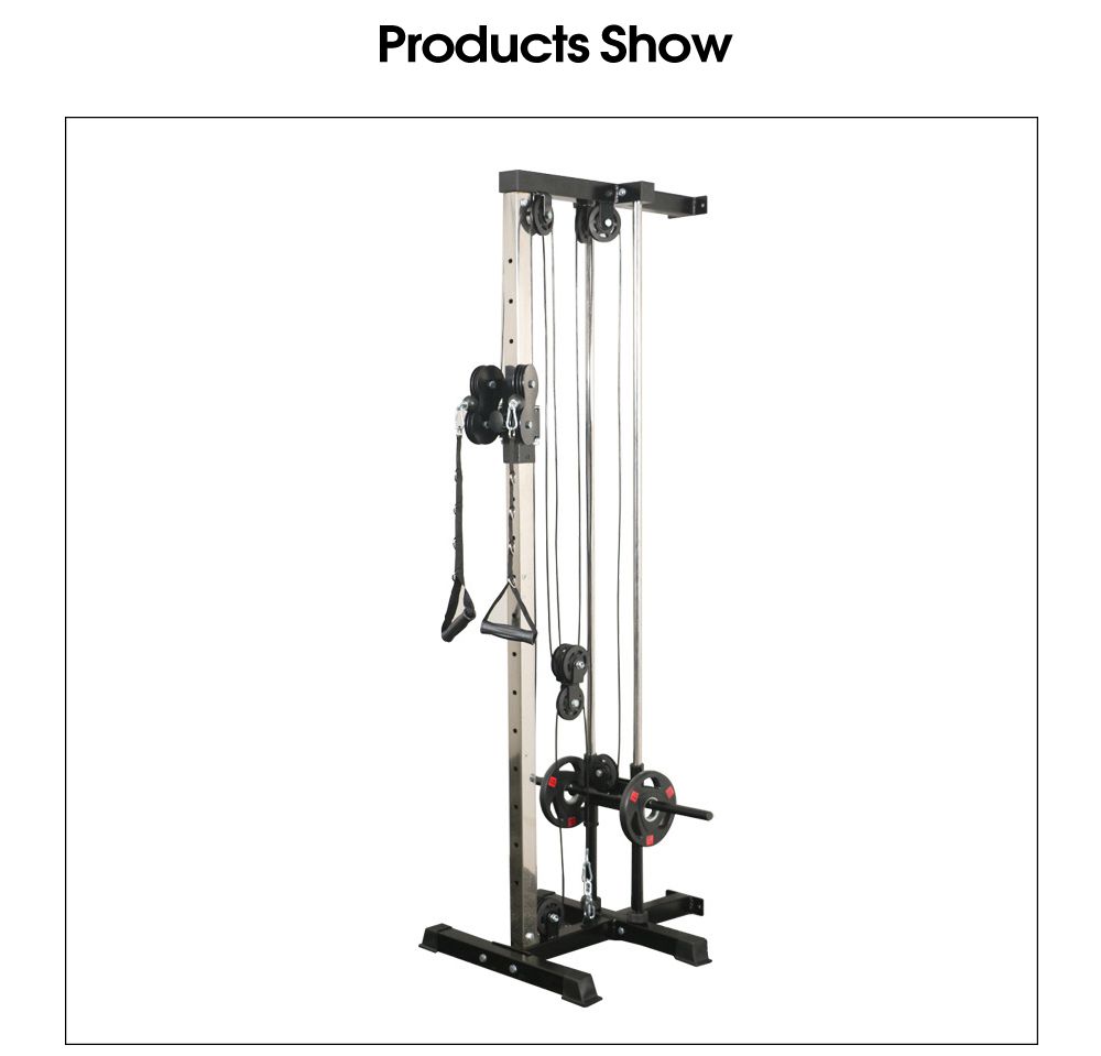 Multifunktionell väggflygande fågel omfattande träningsenhet Multifunktionell väggflygande fågel omfattande träningsenhet