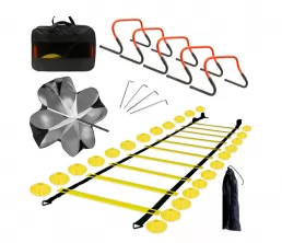 Agility stege