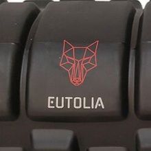 Anpassad skumrullelogotyp och varumärken